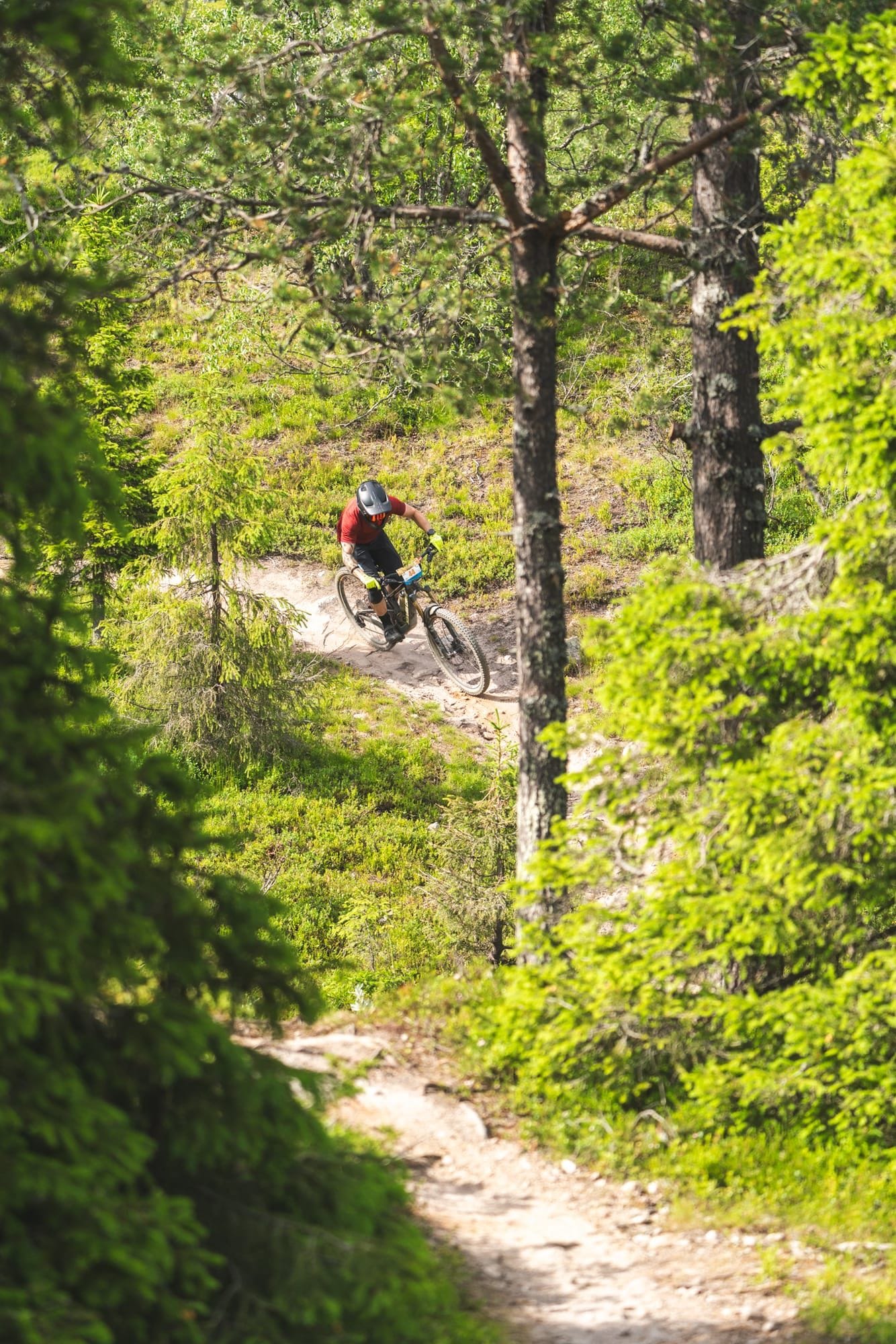 Rider on a fast section of the Full Enduro trail at Ylläs Bike Park