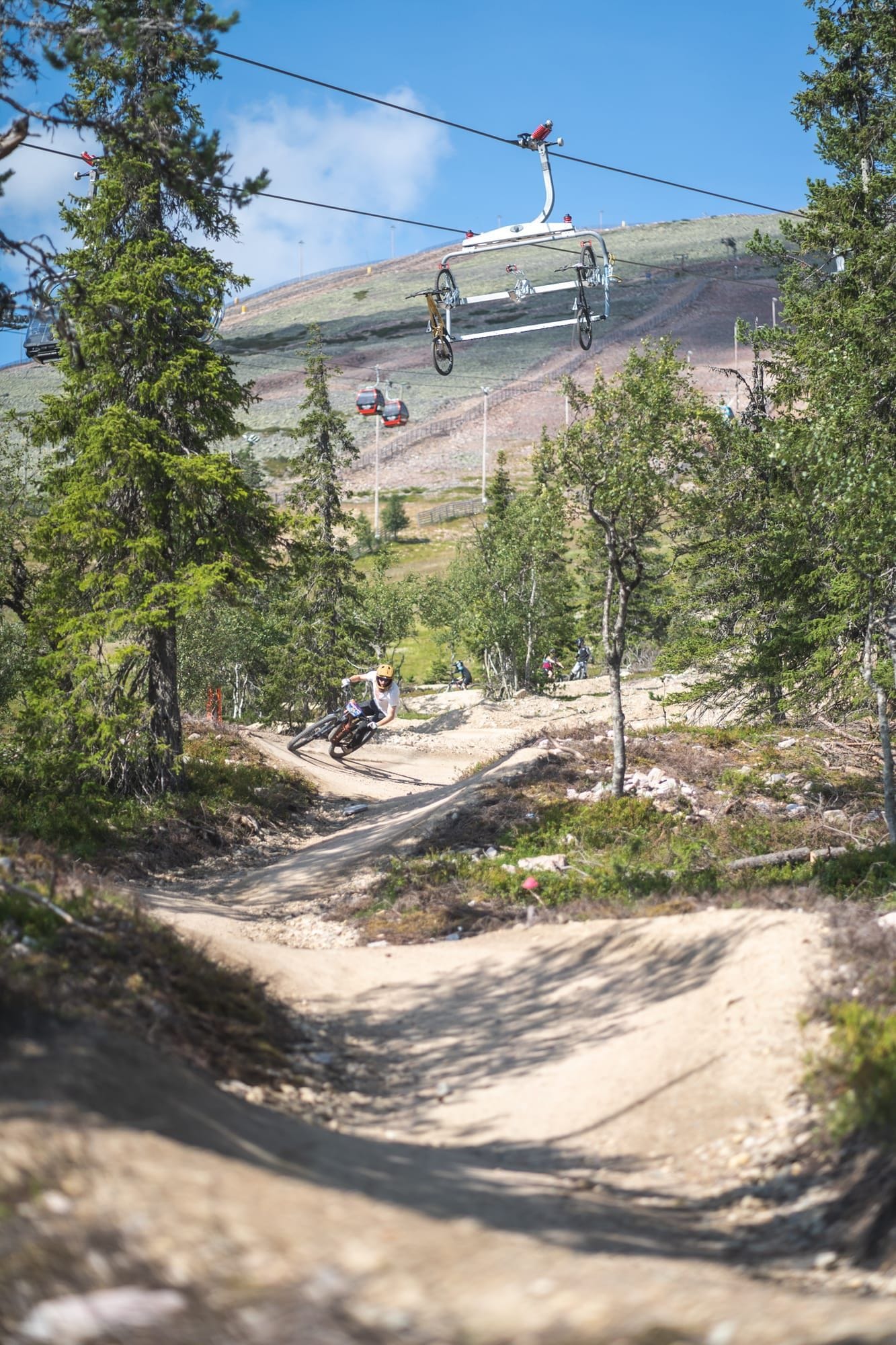 Mountain biker at speed on the Ylläs Flow trail at Ylläs Bike Park